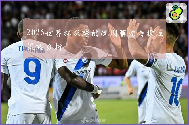 2026世界杯买球的规则解读与投注策略分析