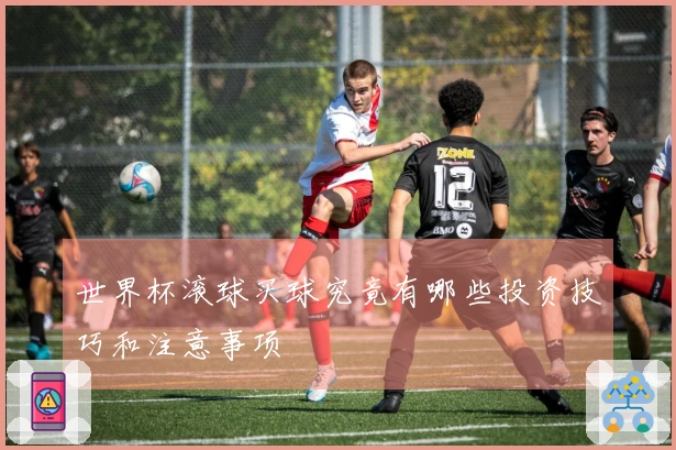 世界杯滚球买球究竟有哪些投资技巧和注意事项