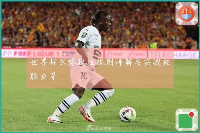 世界杯买球投注规则详解与实战经验分享