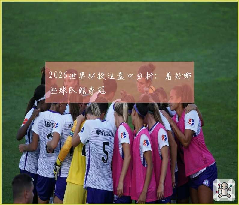 2026世界杯投注盘口分析：看好哪些球队能夺冠