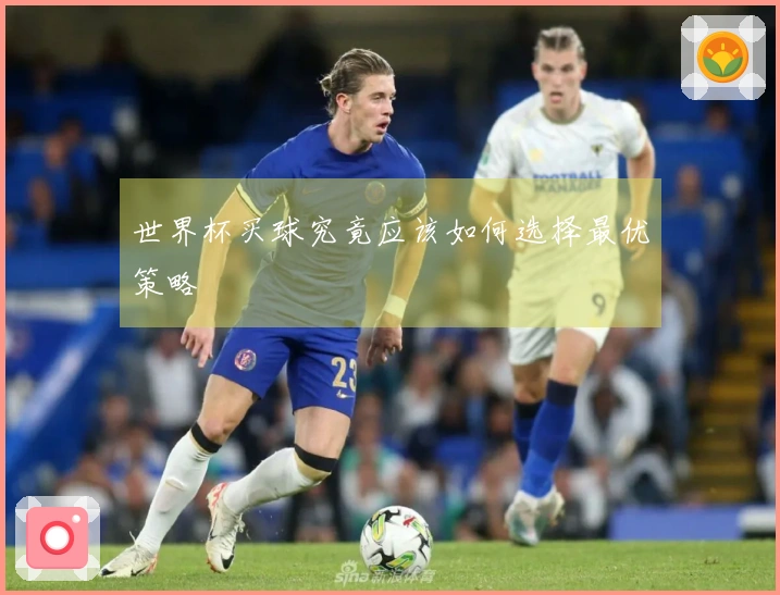 世界杯买球究竟应该如何选择最优策略
