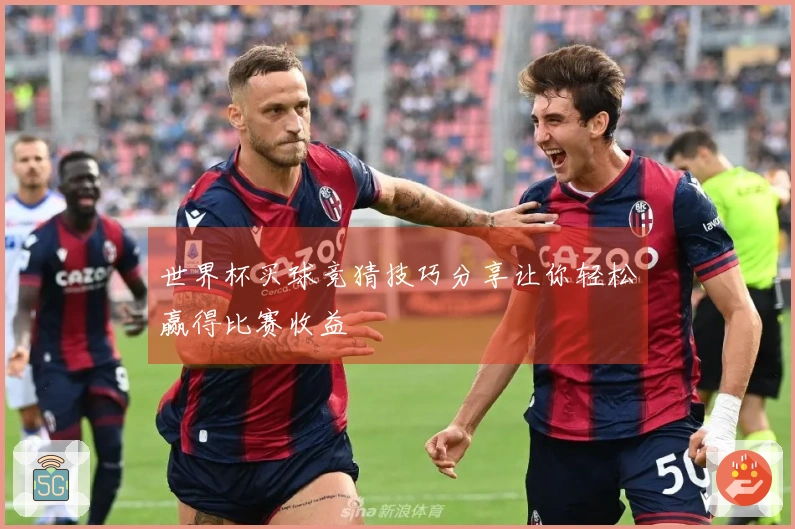 世界杯买球竞猜技巧分享让你轻松赢得比赛收益
