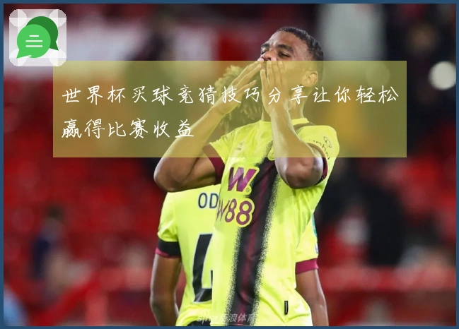 世界杯买球竞猜技巧分享让你轻松赢得比赛收益