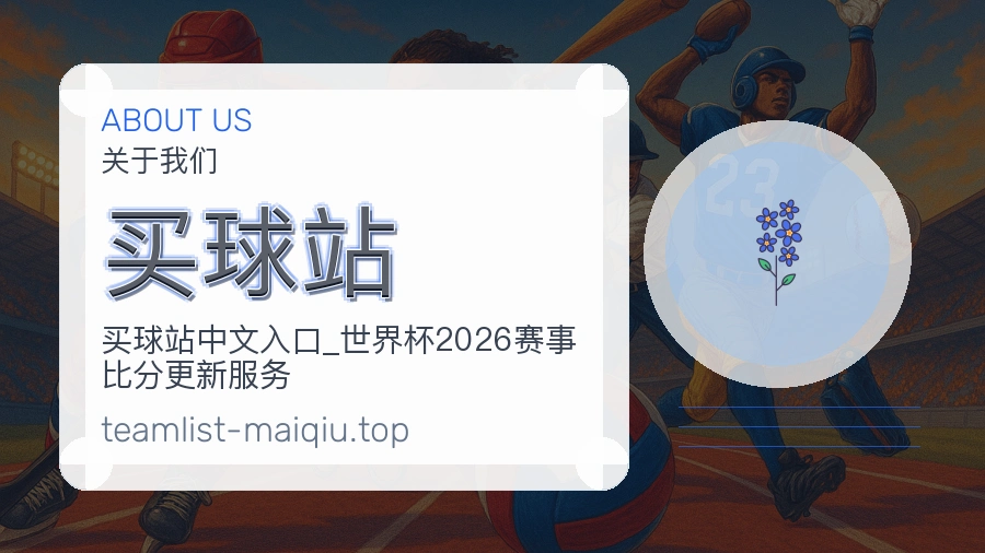 关于 买球站 团队与服务